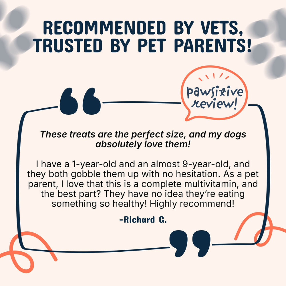 SpryTail — Daily Mushroom Support Chews for Dogs
