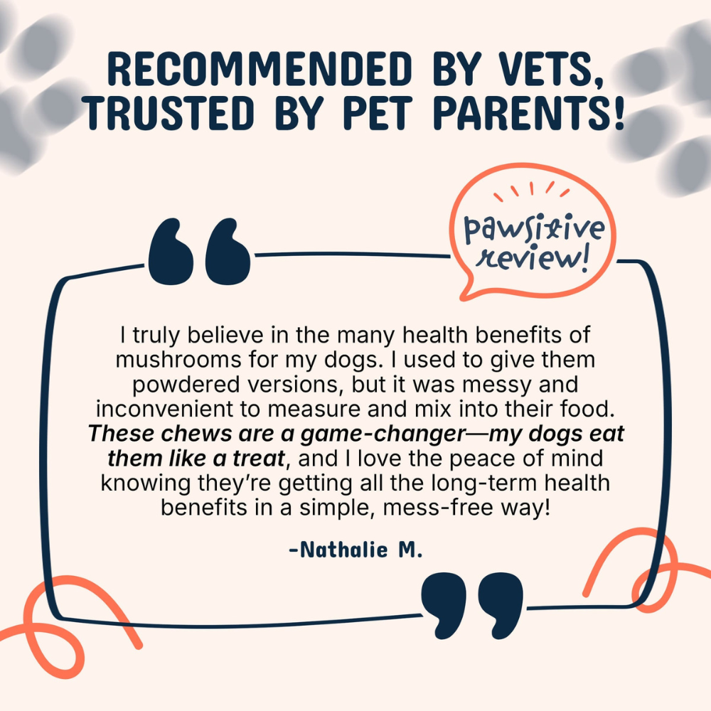 SpryTail — Daily Mushroom Support Chews for Dogs
