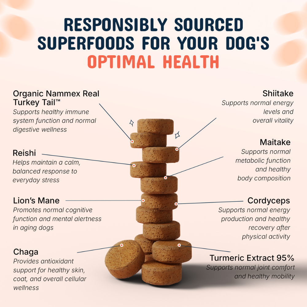 SpryTail — Daily Mushroom Support Chews for Dogs