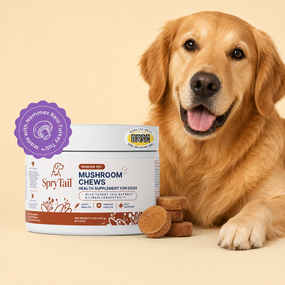 SpryTail — Daily Mushroom Support Chews for Dogs