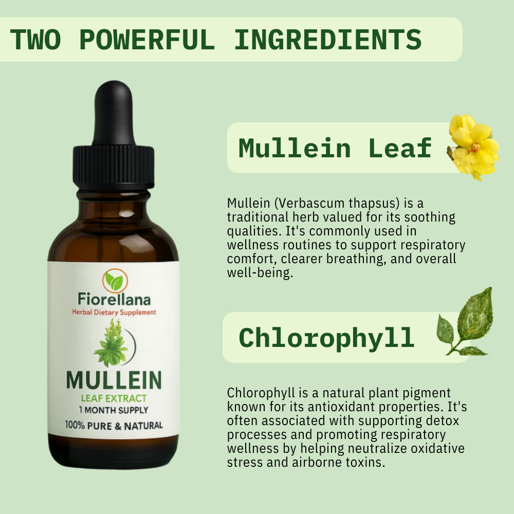 Fiorellana® Mullein & Chlorophyll Drops