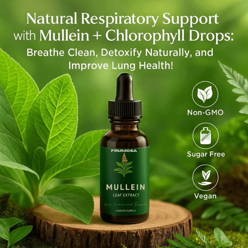 Mullein + Chlorophyll Drops 60ml
